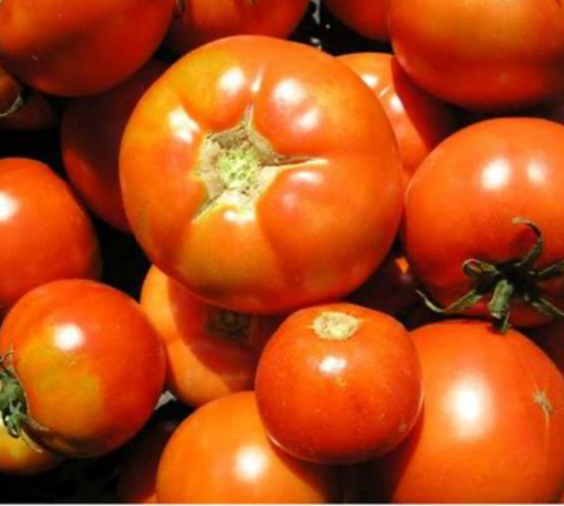 Tomate 'De Paudex'